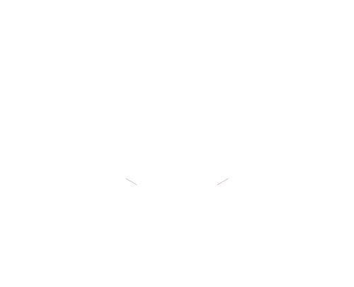 HRD TECH, we build systems